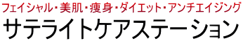 $B%5%F%i%$%H%1%